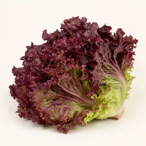 Lechuga morada