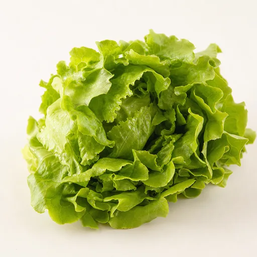 Lechuga