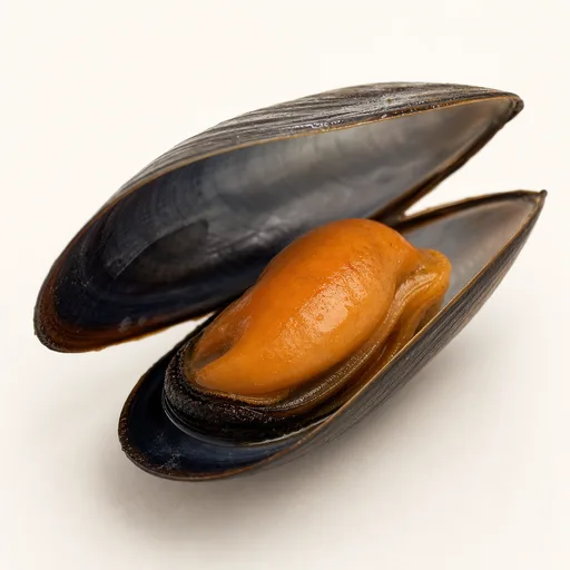 Mejillón